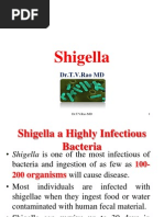 Download Shigella Shigellosis  by doctorrao SN132051110 doc pdf