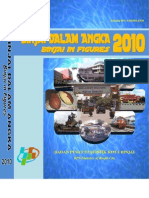 Binjai Dalam Angka 2010 PDF