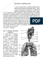 Sistemul Respirator(1)