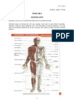 Tema 4 Sistemul Osos