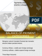 Balance of Payments and International Linkages