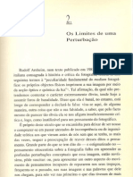Pedro M. Frade (1992), 'Os limites de uma perturbação'