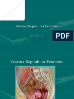 Aparelho Reprodutor Feminino