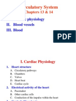 Circulatory System: Chapters 13 & 14