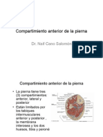 Compartimento Anterior de La Pierna