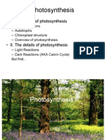 Photosynthesis: - I. Bottom Line of Photosynthesis