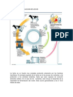 Etapas de La Produccion de Leche