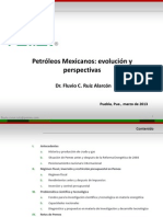 Presentacion Puebla 21III13