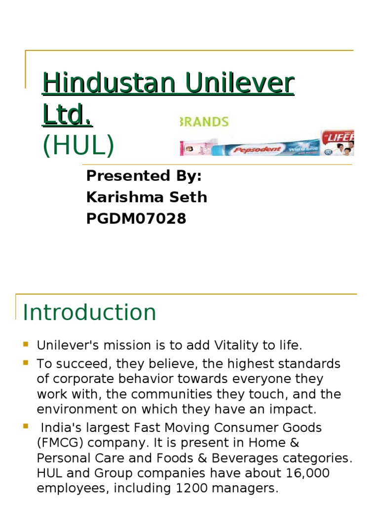 Hindustan Unilever Ltd Unilever Business
