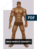 Male Muscle Concept