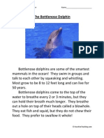 The Bottlenose Dolphin First Grade Reading Comprehension Worksheet