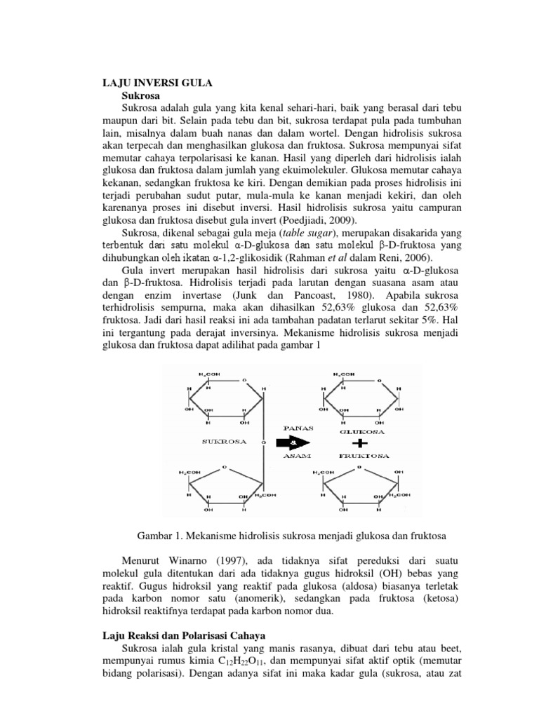 Laju Hidrolisis Sukrosa dan Gula Inversi | PDF