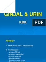 4-Ginjal & Urin