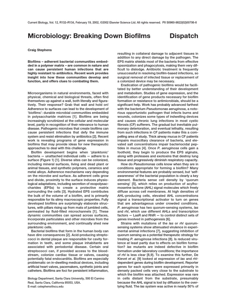 Breaking Down Biofilms | PDF | Biofilm | Pseudomonas Aeruginosa