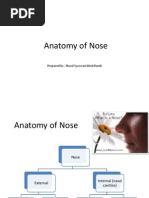 Anatomy and Physiology of Nose | PDF | Human Nose | Mucus