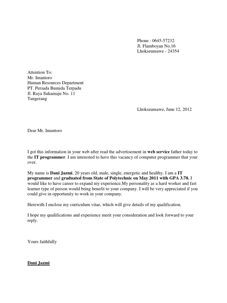 Job Application for IT Programmer Position | PDF | Career & Growth ...