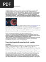 Download Pengertian Hepatitis Dan Jenis Hepatitis by Alpi Anor SN132231669 doc pdf