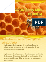 Produccion de La Miel de Abeja Dia