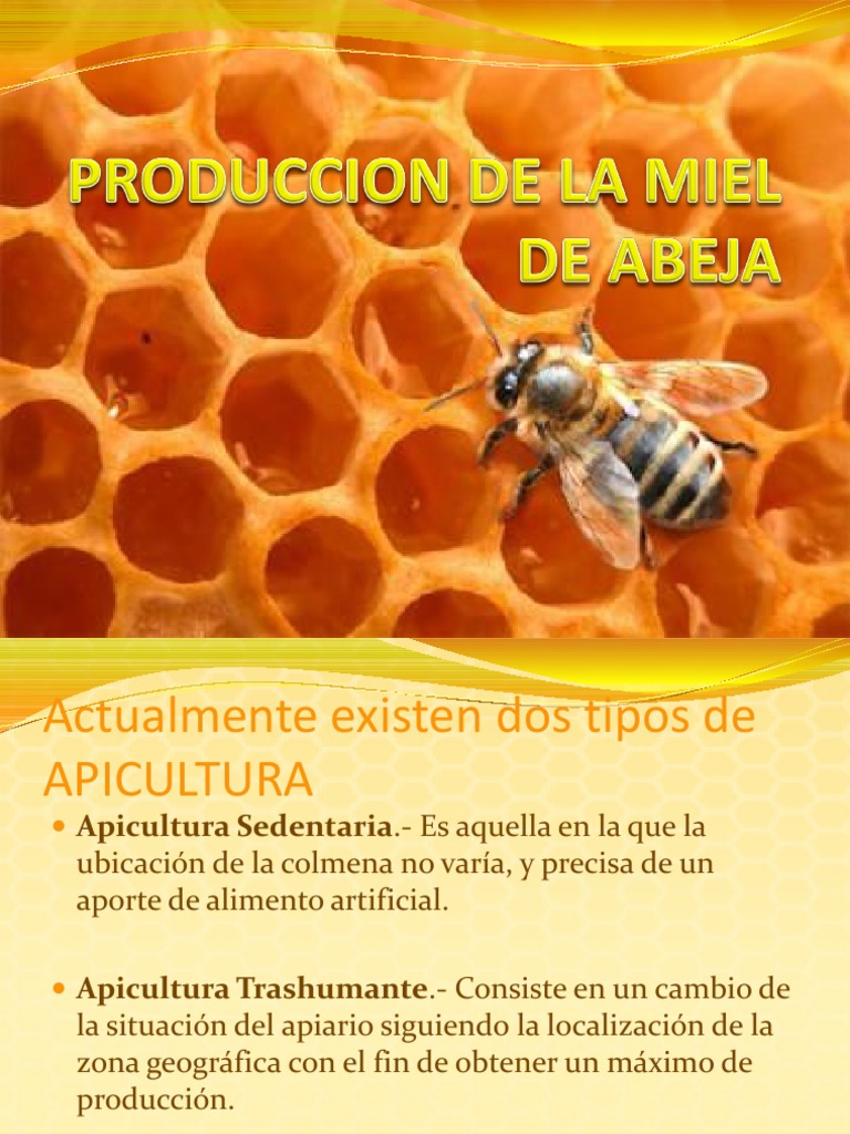 Tipos y Beneficios de la Apicultura | PDF | Apicultura | Colmena