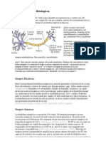 Fisiologia - Neurofisiologia I - Sinapsis Señales Fisiologicas