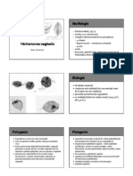 P03 Trichomonas