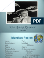 schizofrenia paranoid