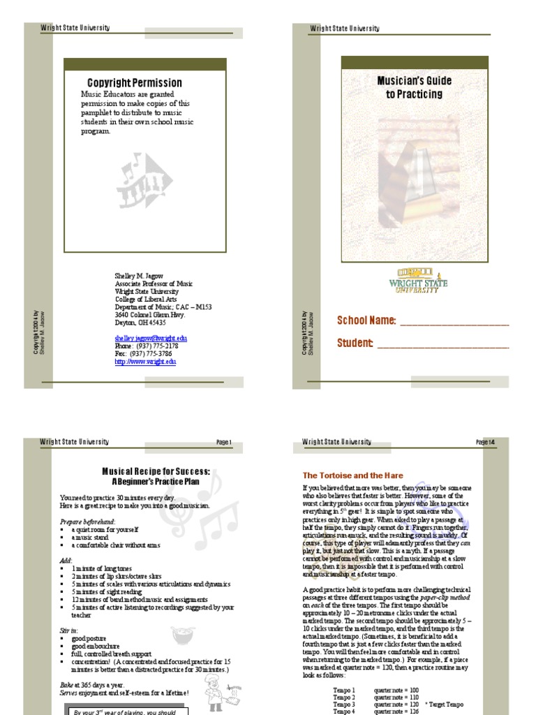 Musician's Guide To Practicing PDF