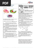 Biologia Reino Monera Exercicios