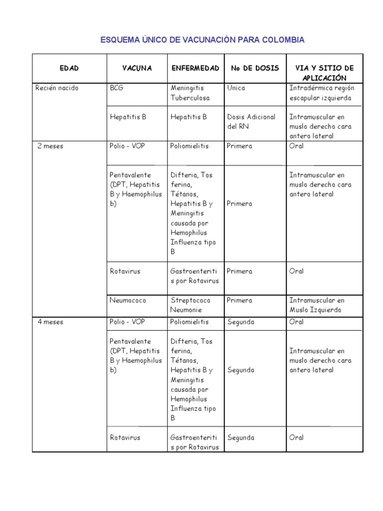 Esquema Unico De Vacunacion Para Colombia 2011 1 Modificado
