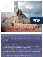 Metabolism Glucidic