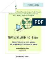 Manual Arcgis1