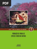 Producao Mudas e Sementes Pantanal 2