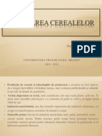 Macinarea Cerealelor - Final