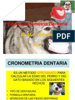 Cronometría Dentaria 2013