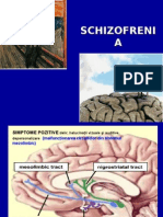 Prezentare+schizofrenie