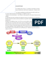 Physiopathologie Des Diabètes