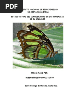 Download Estado actual del conocimiento de las mariposas de El Salvador Ruben Sorto INBio 2007 by Ruben Sorto SN13233213 doc pdf