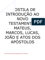 79756251 Apostila de Introducao Ao Novo Testamento