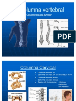 53878679 La Columna Vertebral Posiciones Radiologicas y Anatomia