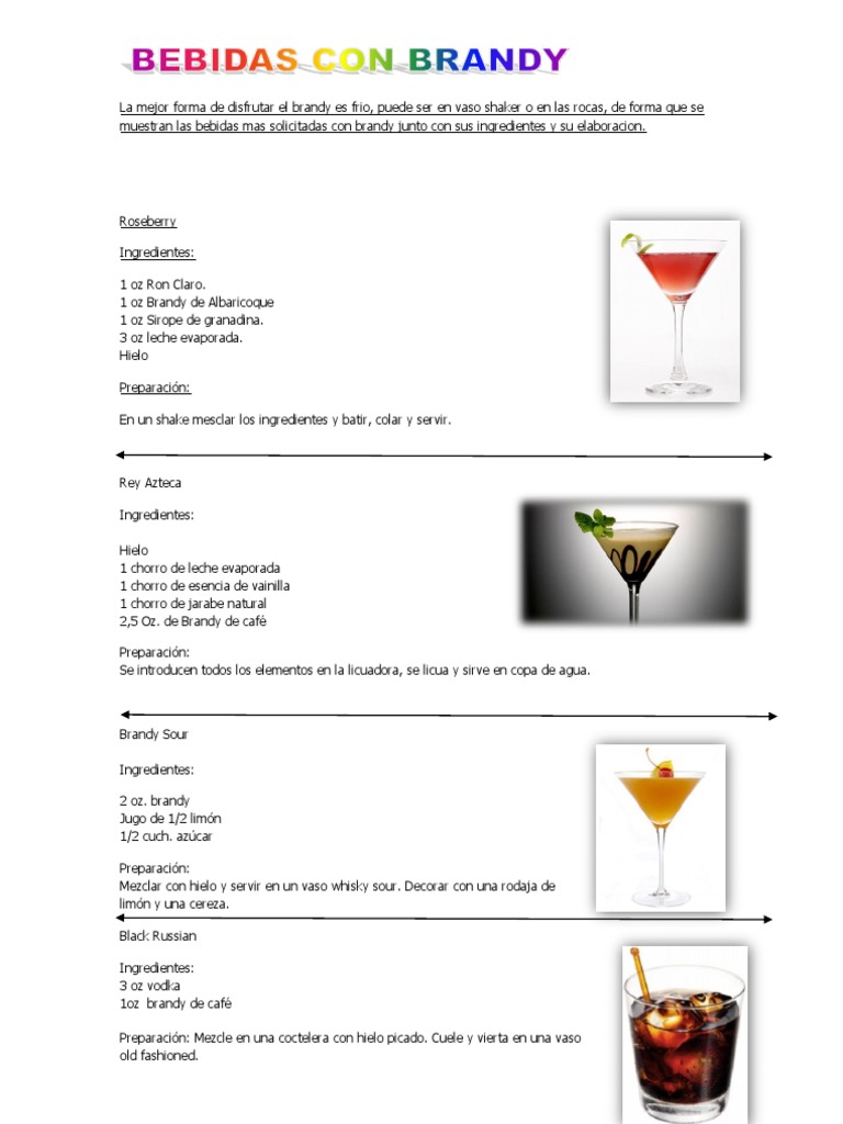 Bebidas Brandy PDF | brandy |