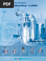 ARI Armaturen ANSI Valves (One-Stop-Shop)