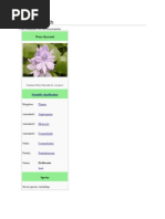 Download Water hyacinthdocx by Genalyn Tayao SN132405207 doc pdf