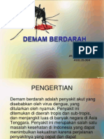 Demam Berdarah (Annas Anshori, A.101.15.004)