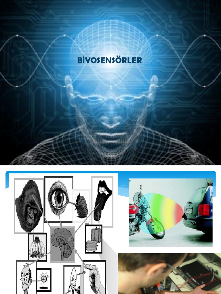 Sensör | PDF