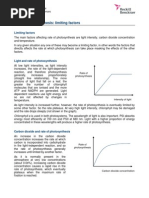 Rate of Photosynthesis Limiting Factors