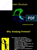 Protein Structure