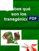 TRANSGENICOS.pps