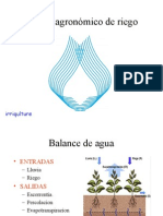 Diseño Agronomico de Riego