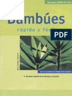 Plantas - Bambues