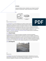 Disciplinas de La Geología